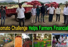 Tomato Challenge Helps Farmers Financially