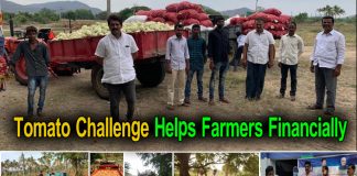 Tomato Challenge Helps Farmers Financially
