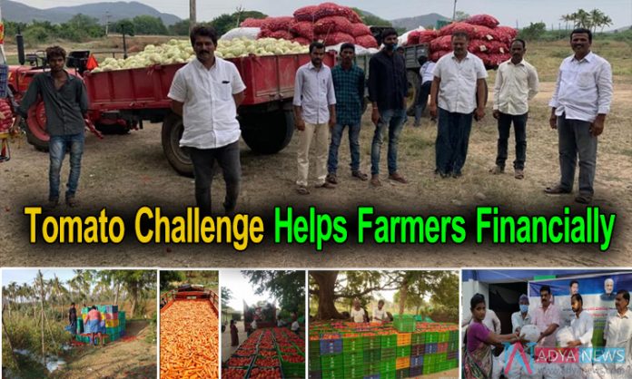 Tomato Challenge Helps Farmers Financially